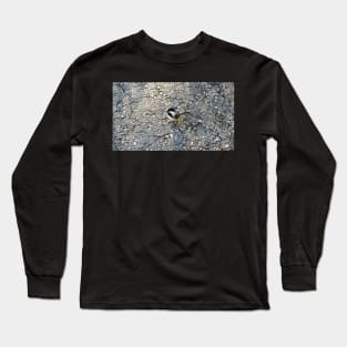 Black-capped Chickadee Below Me Waiting For a Snack Long Sleeve T-Shirt